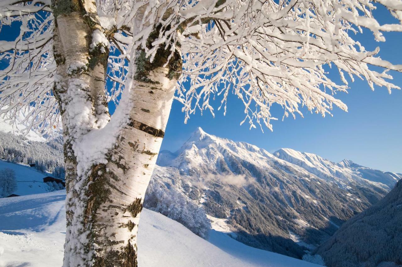 Landhaus Zum Griena Mayrhofen Εξωτερικό φωτογραφία